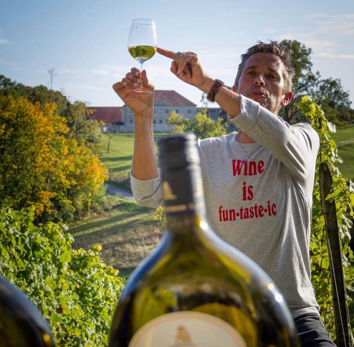 Weinspaziergang Hallburg